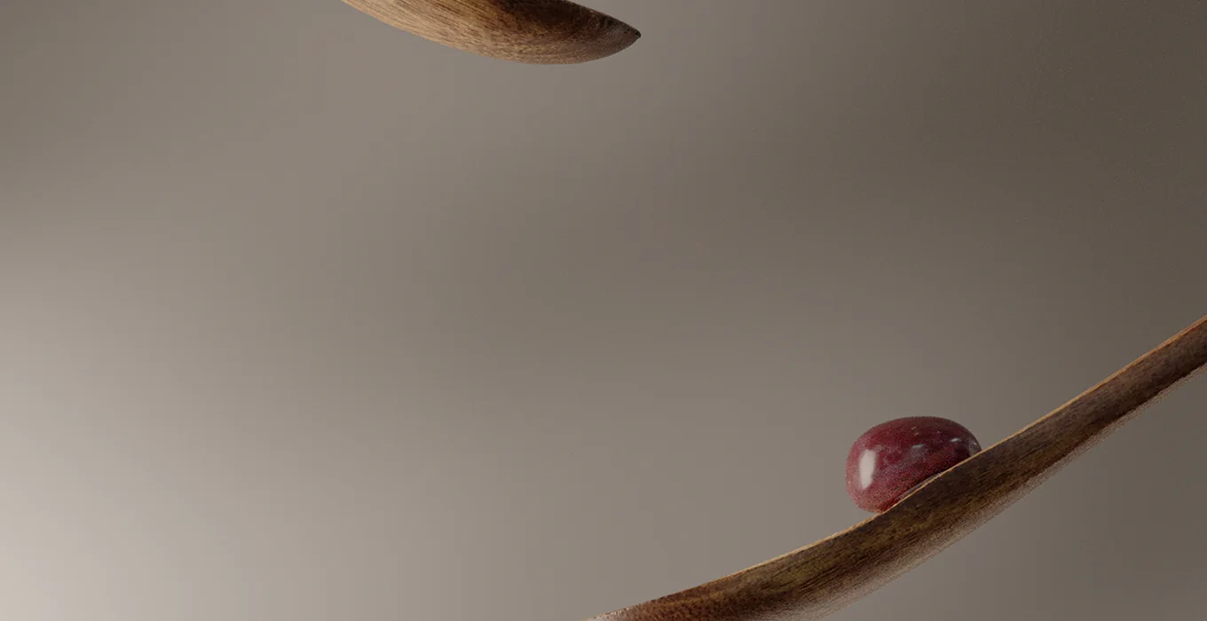 raisins — Éclairage / Motion
